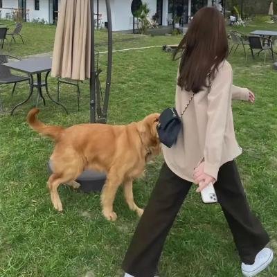 千里眼